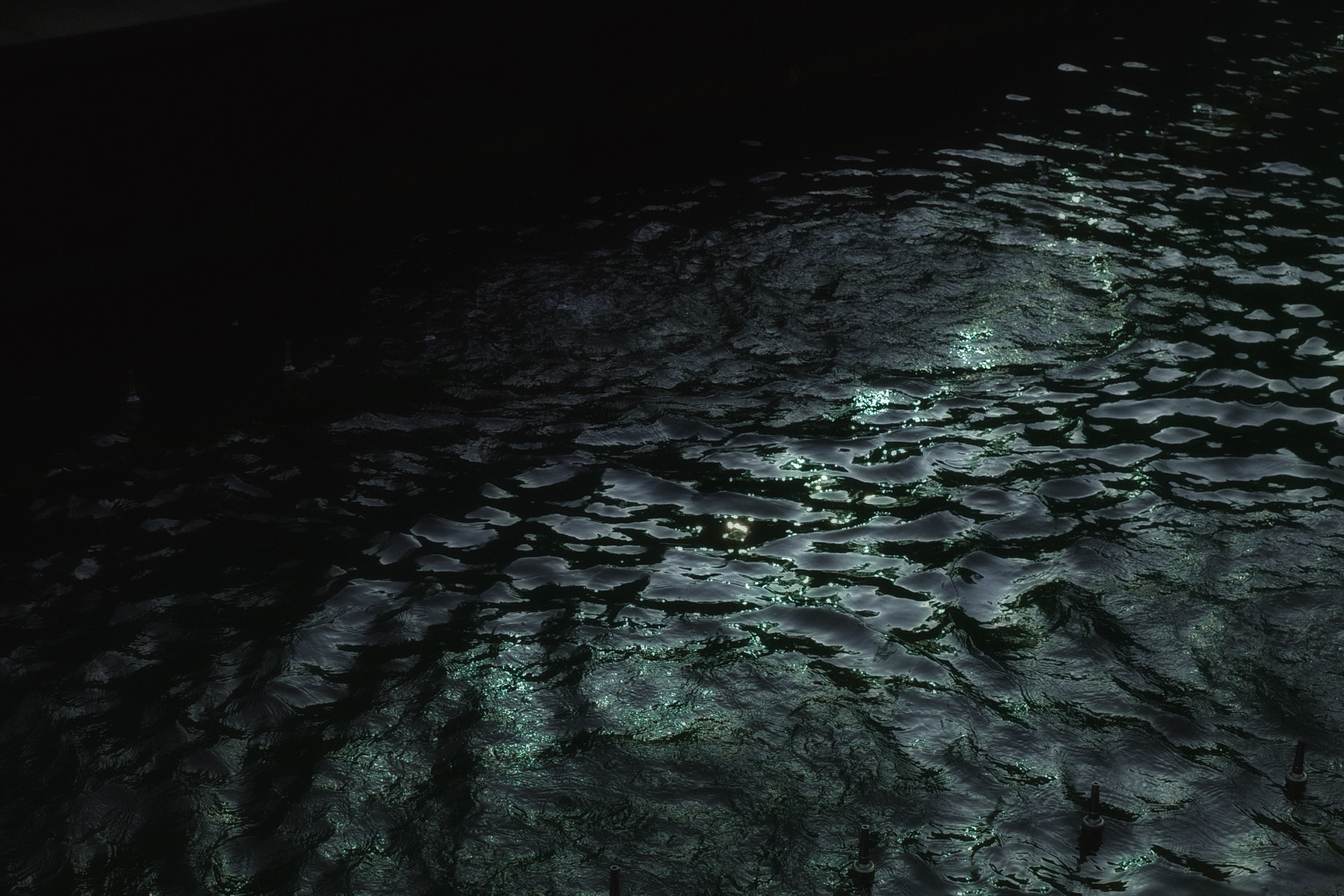 LANDSCAPE 49