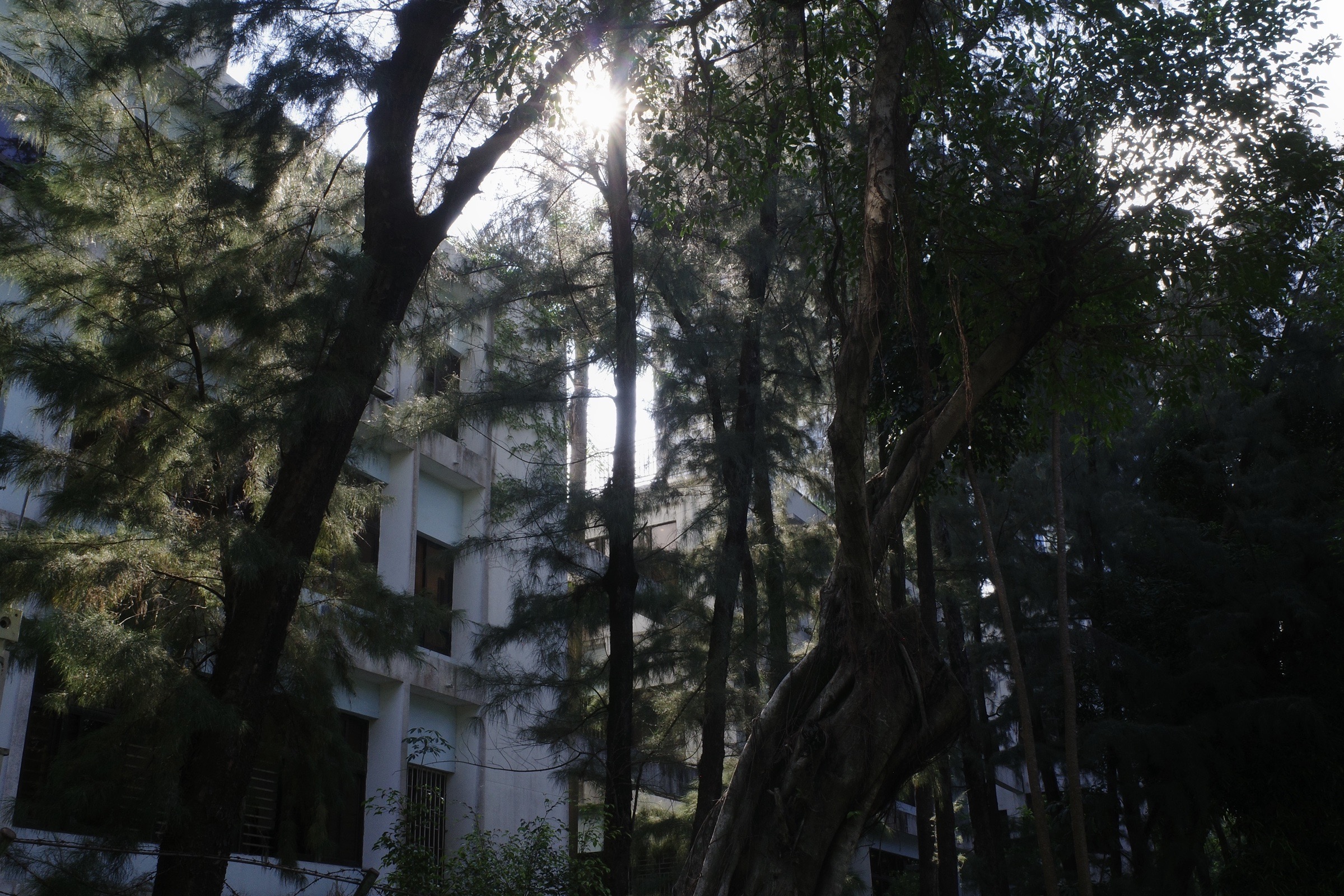 LANDSCAPE 09