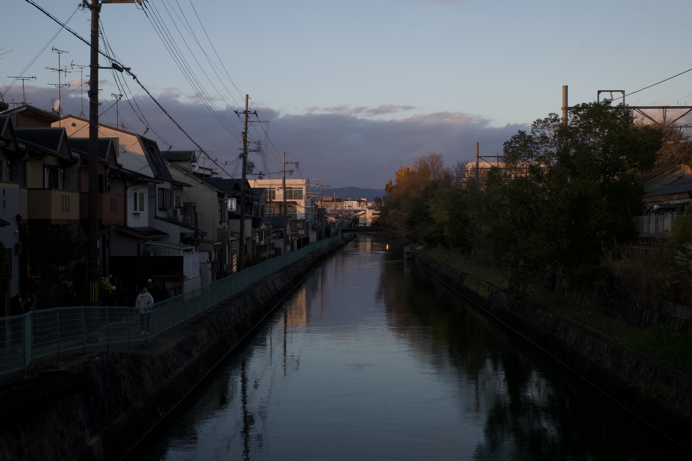 LANDSCAPE 59