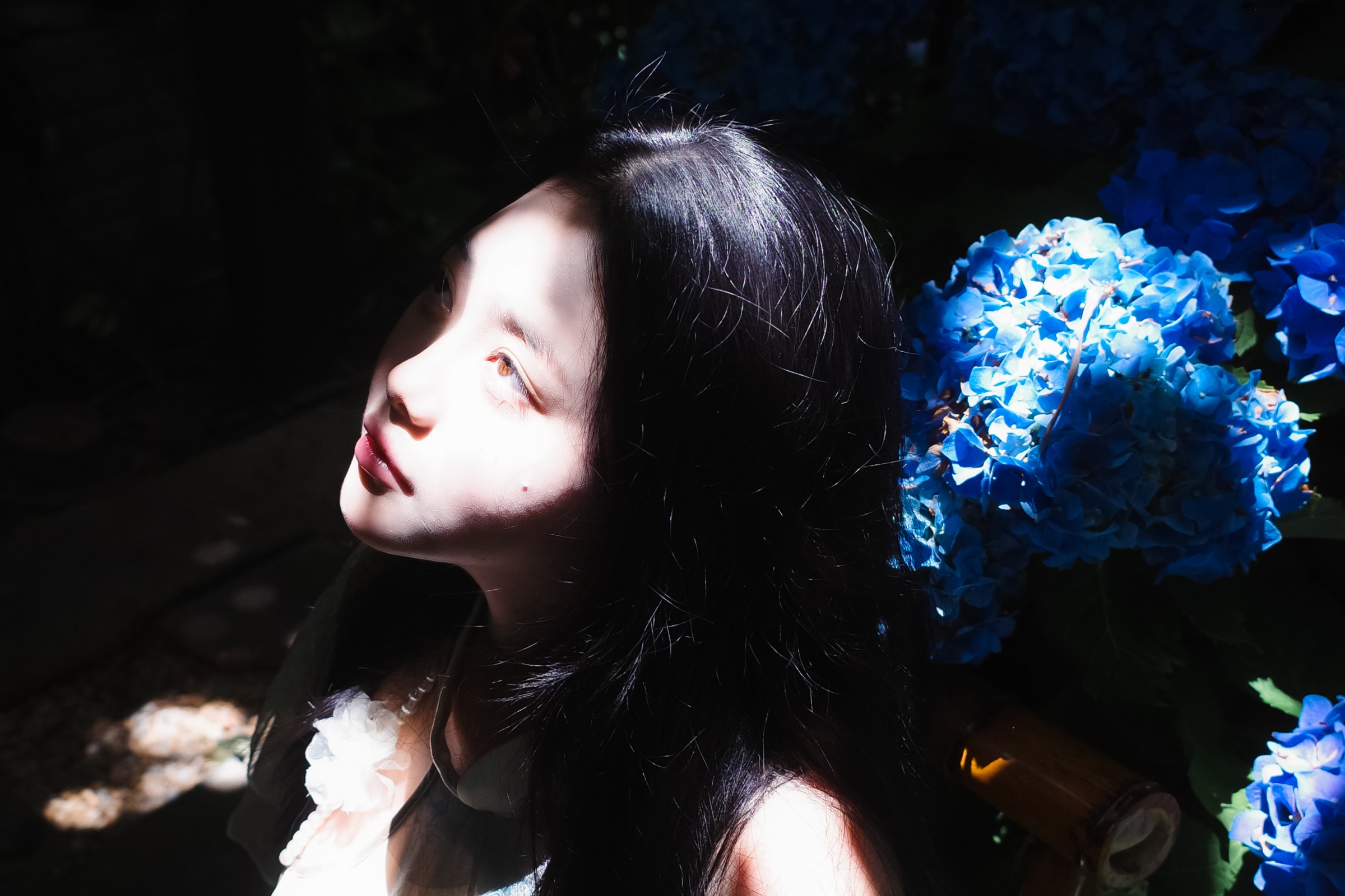 PORTRAIT 60